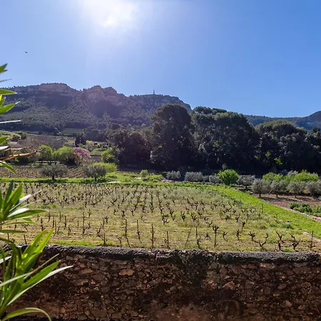 Maisonnette Indépendante *